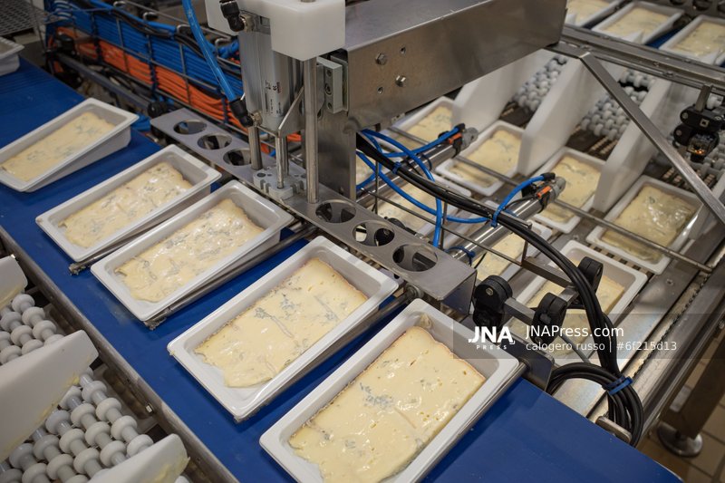 Inside Gorgonzola PDO: thirty years of European protection behind one of Italy's iconic cheeses