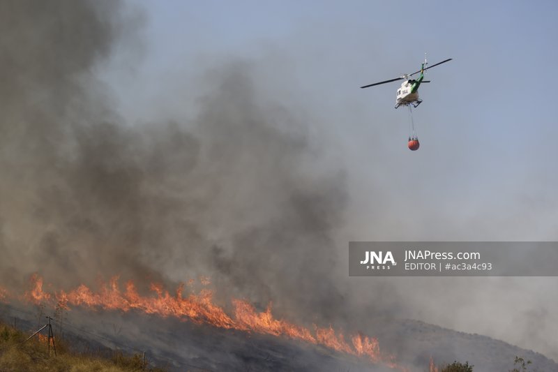 Deadly wildfire devastates Los Gallardos in southern Spain