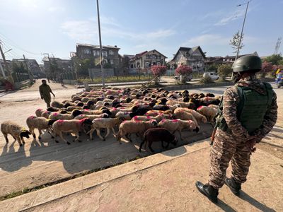 Authorities Continue Ban on Eid Prayers at Srinagar Eidgah