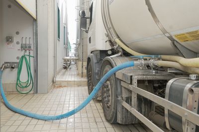 Inside Gorgonzola PDO: thirty years of European protection behind one of Italy's iconic cheeses