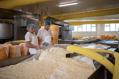 Thirty years of protection, twelve centuries of history: the Gorgonzola cheese
