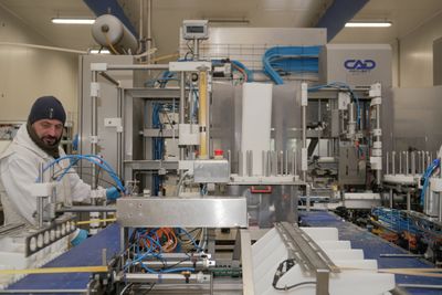 Inside Gorgonzola PDO: thirty years of European protection behind one of Italy's iconic cheeses