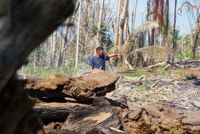 Residents Battle Fire in Massive Flood-Borne Log Field in North Aceh
