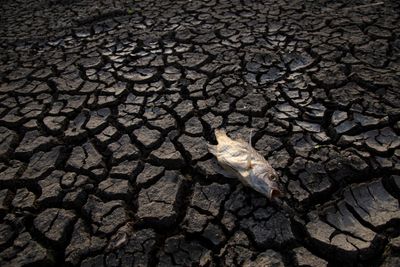 Water Levels Drop at Gajah Mungkur Reservoir, Wonogiri