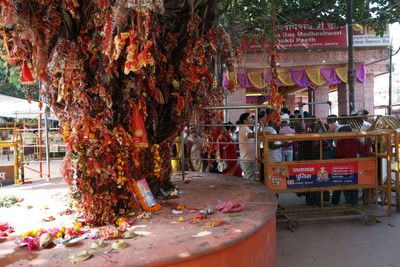 Hindu devotees celebrate Navratri in Prayagraj