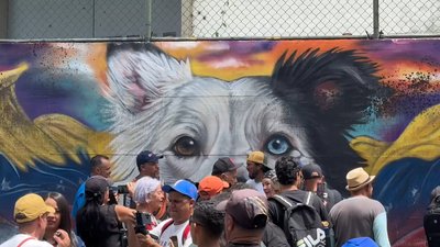 Mural honors rescue dog Tsunami for earthquake response in Venezuela