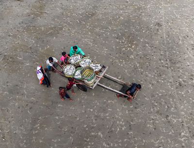 Hilsa fishing season along Bangladesh coast
