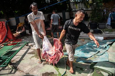 Muslims Perform Qurbani During Eid al-Adha in Tangerang