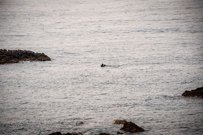 Ceuta faces surge in migrant arrivals as rescue operations intensify