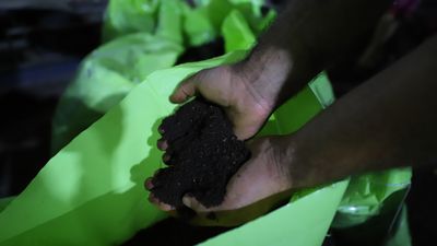 Cow Manure to Natural Fertilizer: A Palestinian Project Turns Agricultural Waste into a Valuable Product
