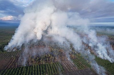 Tripa Peatland Forest and Land Fire Emergency: Hotspots in Nagan Raya Set to Surge 43-Fold by 2026