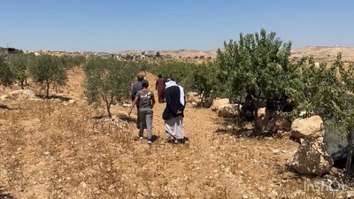 Palestinian Family Reports Escalating Settler Attacks in Masafer Yatta, South of Hebron