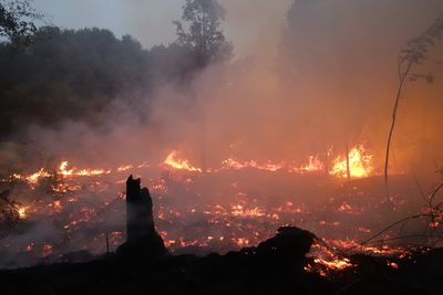 Firefighters Battle Forest Fire at Galeget Tiawu Nature Park, Indonesia