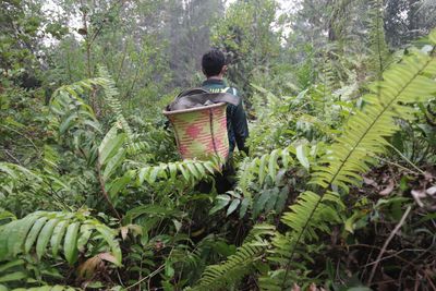 Firefighters Battle Forest Fire at Galeget Tiawu Nature Park, Indonesia