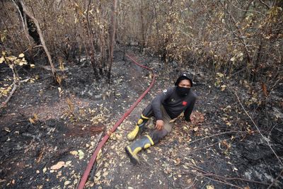 Firefighters Battle Forest Fire in Galeget Tiawu Nature Park, Indonesia