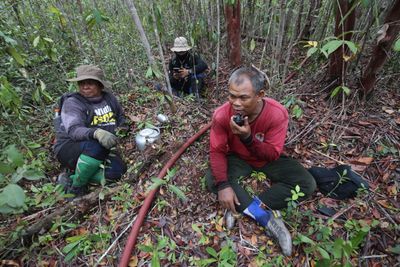 Firefighters Battle Forest Fire in Galeget Tiawu Nature Park, Indonesia