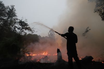 Firefighters Battle Forest Fire at Galeget Tiawu Nature Park, Indonesia