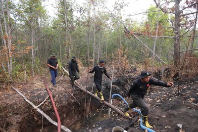 Firefighters Battle Forest Fire in Galeget Tiawu Nature Park, Indonesia