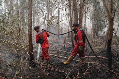 Firefighters battle forest fire in Central Kalimantan
