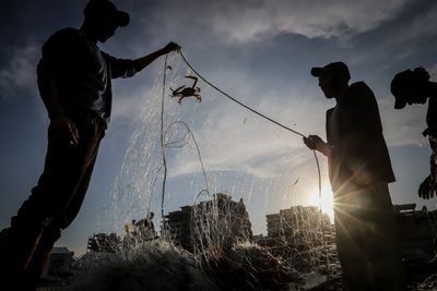 Fishermen Collect Crabs in Gaza